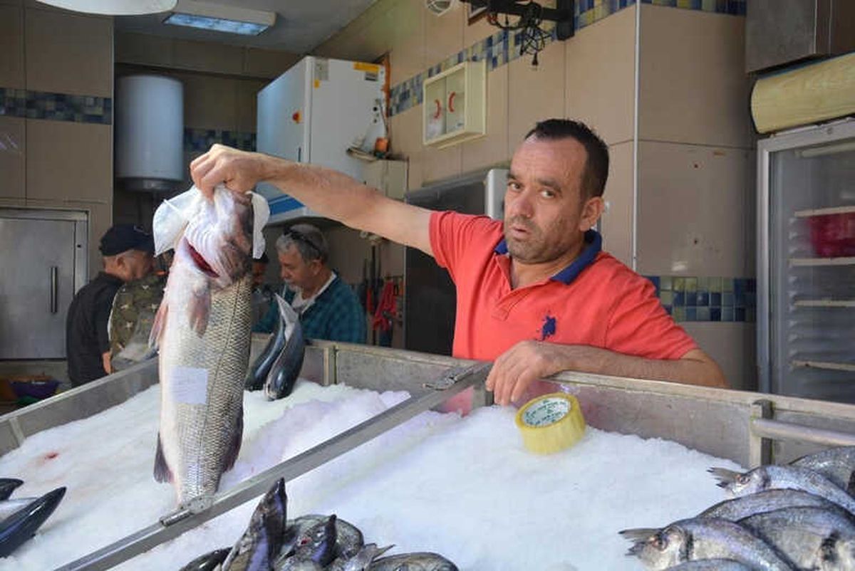 Sinoplu Balıkçılara 7 Kilogramlık Levrek Sürprizi