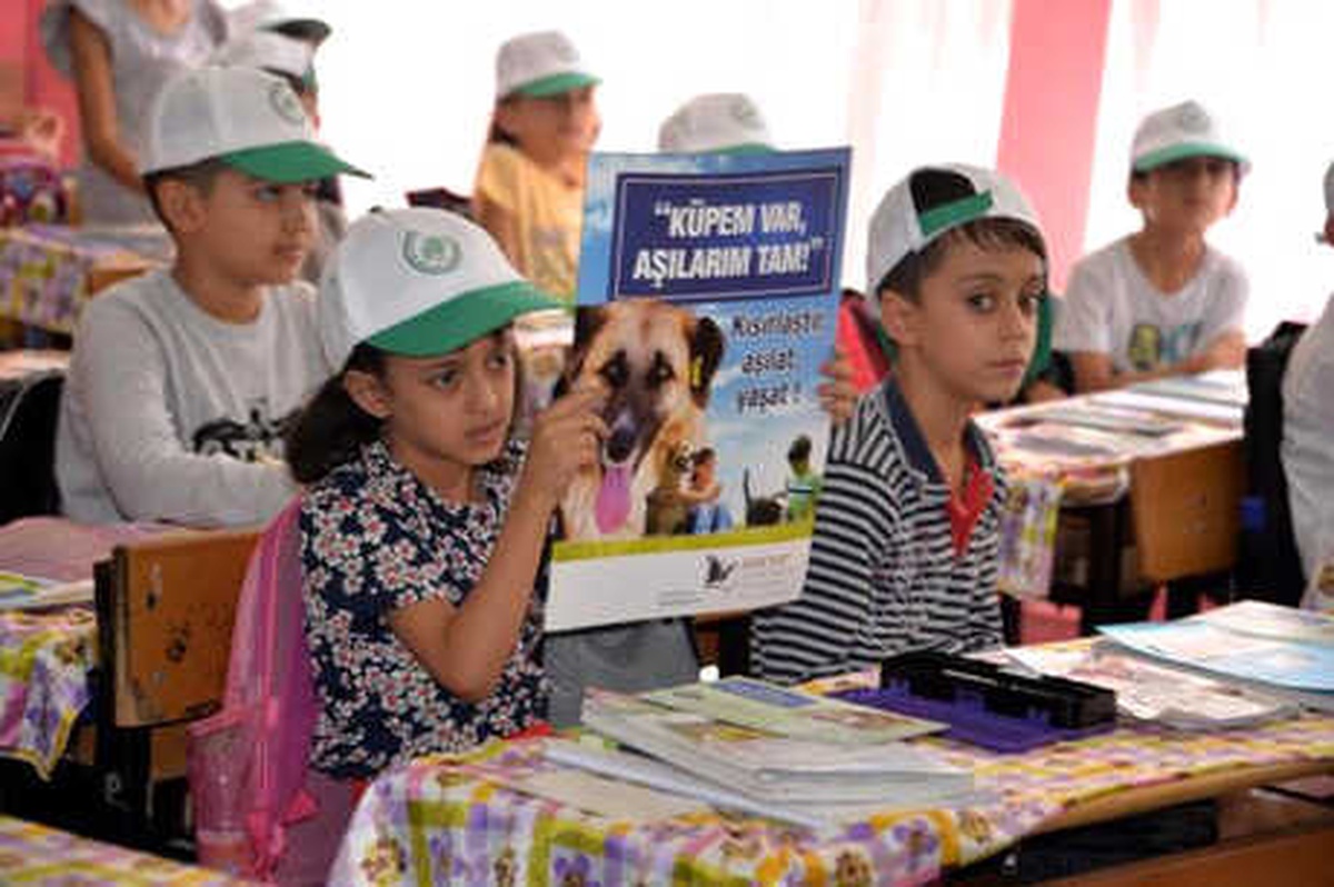Sur Esnafına Kedi ve Köpekler İçin Mama Kapları ve Yarım Ton Mama Dağıtıldı
