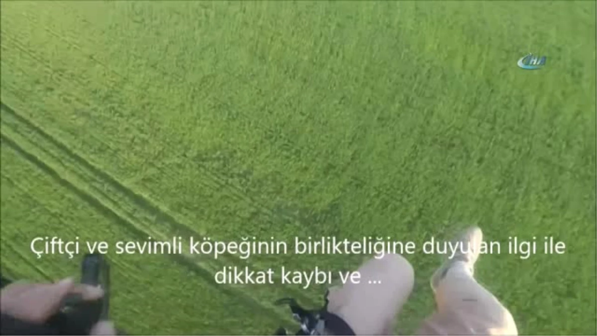 Tarlasını İlaçlayan Çiftçiye Selam Vermek İsterken Paramotordan Böyle Düştü