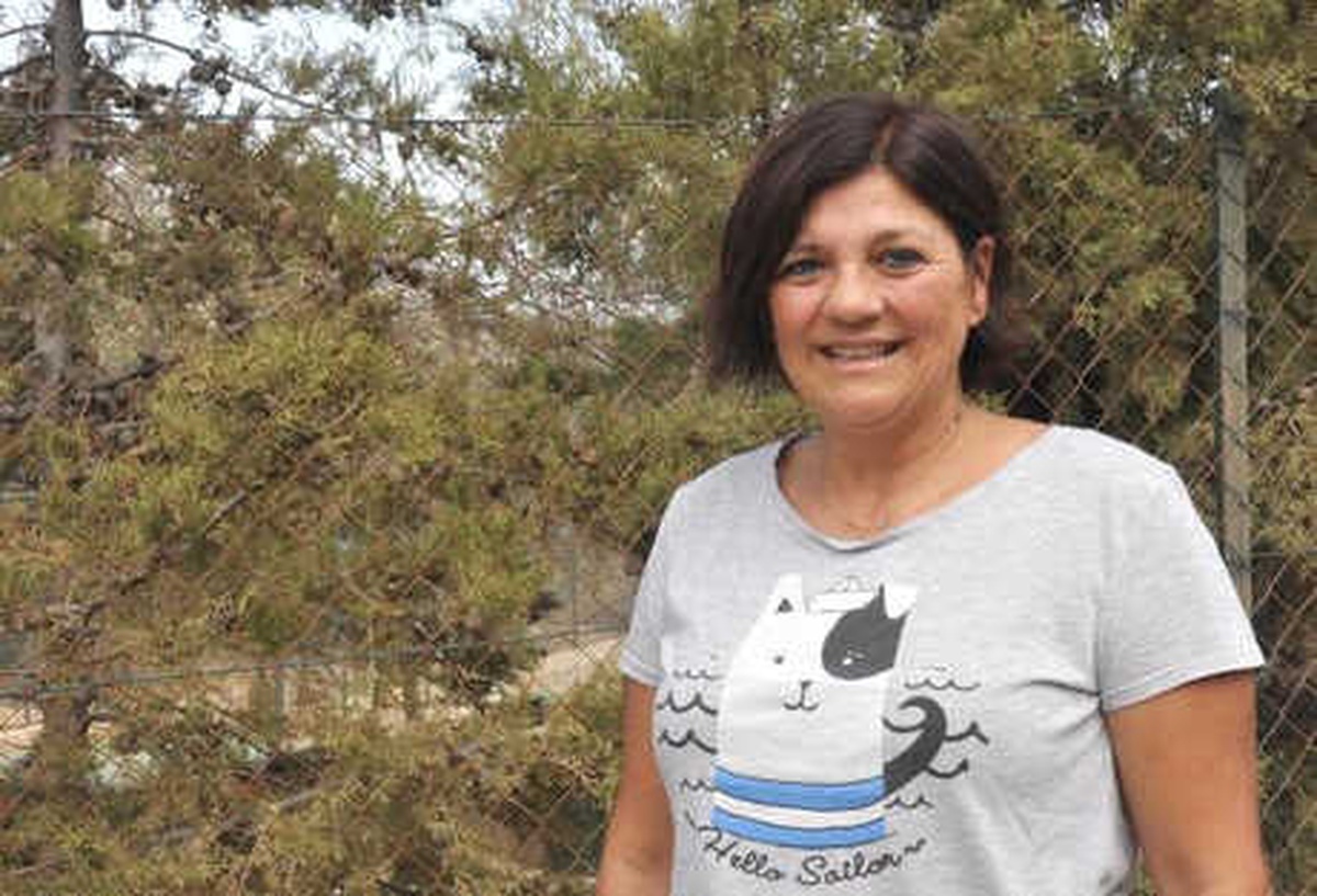 Barınak Köpekleri Gezmeye Çıkarıldı