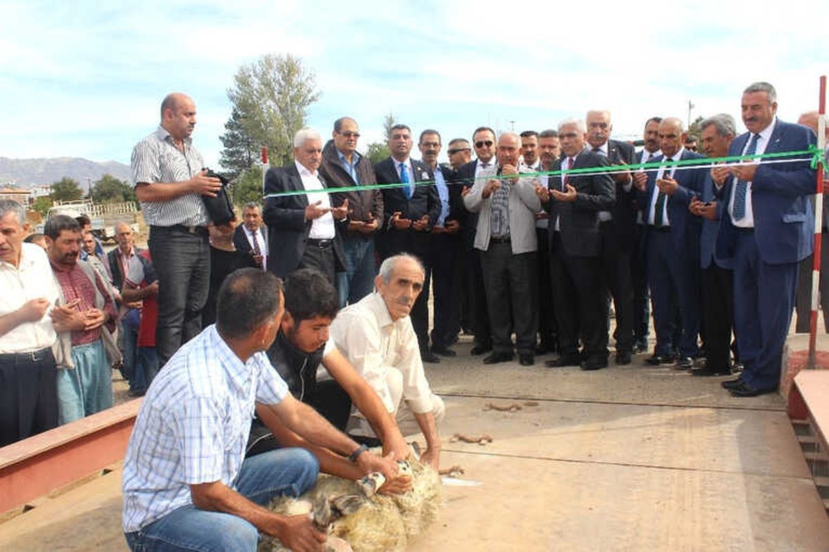 Elazığ\'da Pancar Alım Kampanyası Başladı