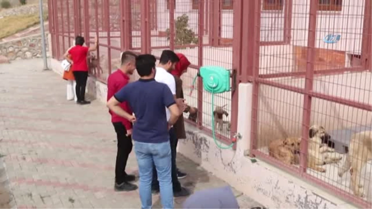 Elazığ\'daki Türkiye\'nin En Modern Hayvan Hastanesine Ziyaretçi Akını
