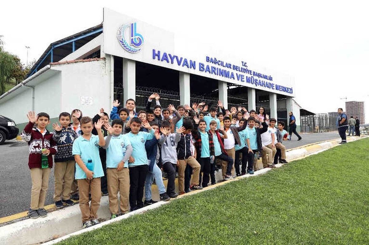 Hayvan Barınma ve Müşahede Merkezi\'ne Ziyaretçi Akını