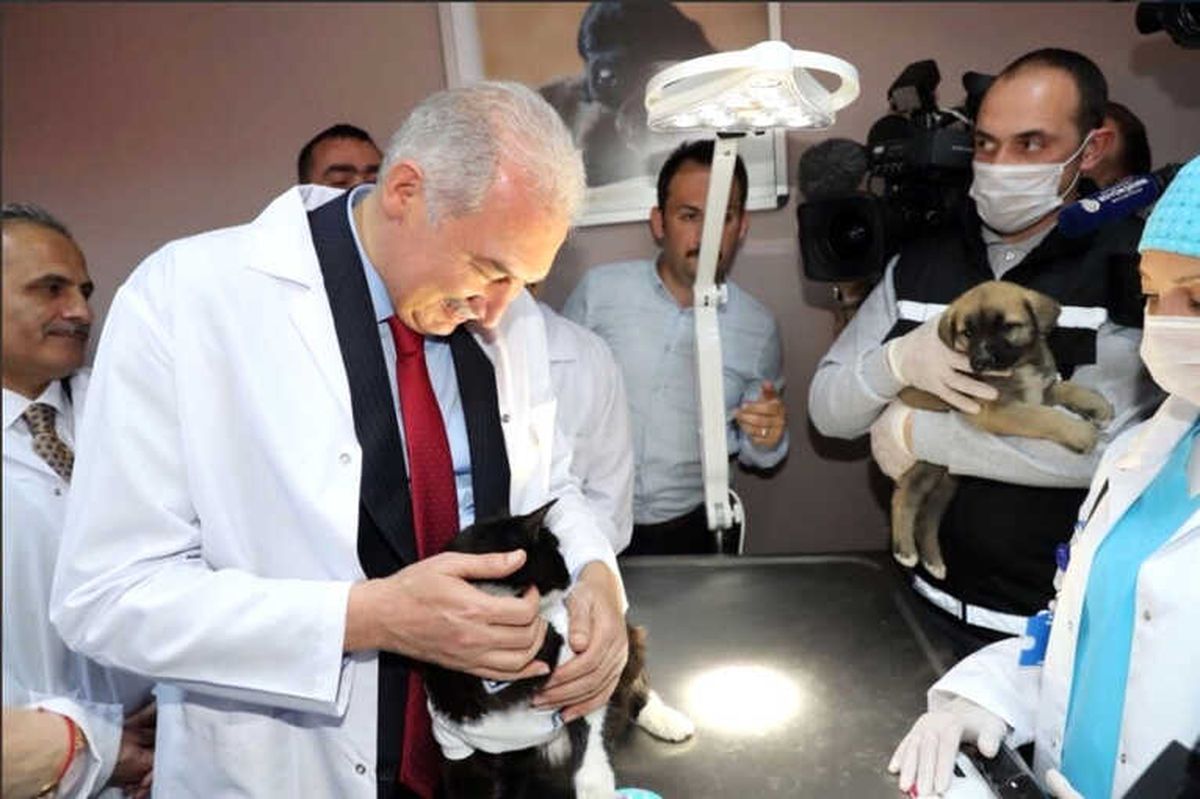 İbb Başkanı Mevlüt Uysal: "Can Dostlarımızın Yanındayız"