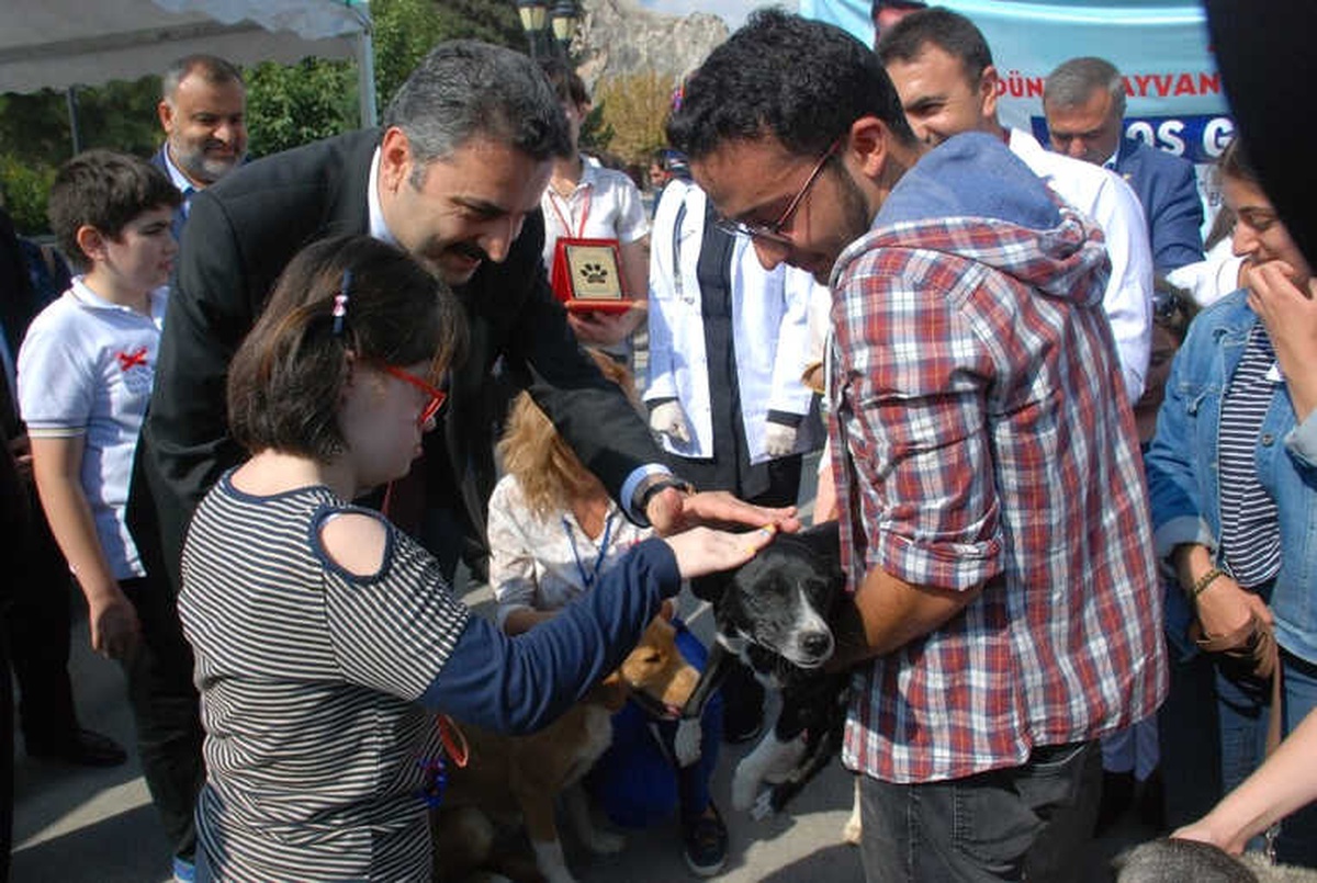 Kedinin Asılı Olarak Bulunması Olayına Tepkiler