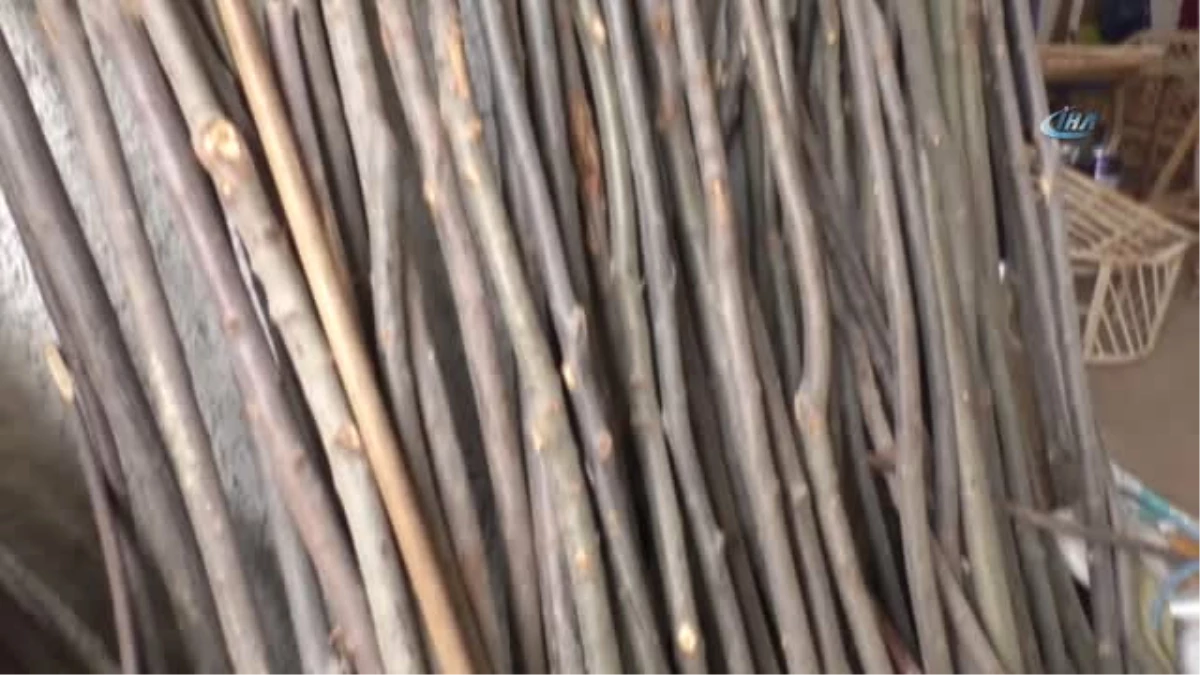 Kestane Ağaçları Bambu Mobilyalara Dönüşüyor
