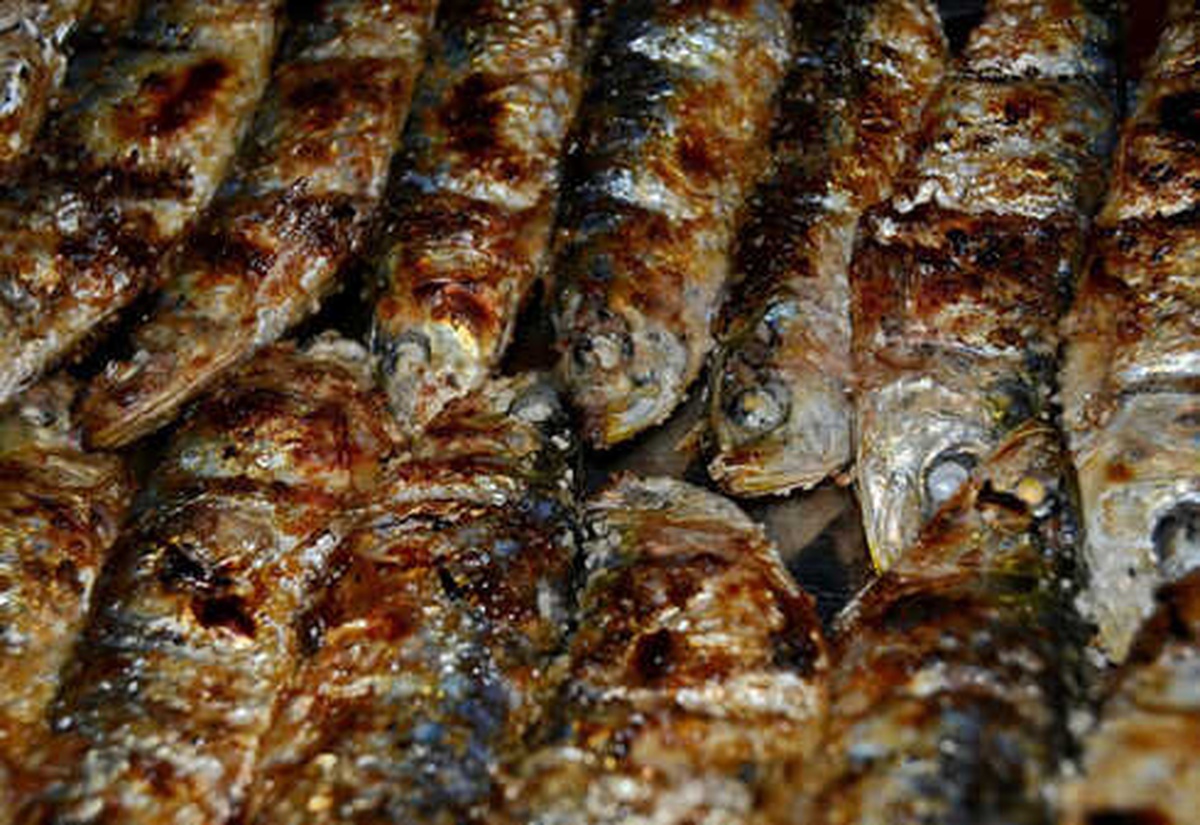 Kılçığı Fazla Diye Kimse Bu Balığı Yemek İstemiyor Ama...
