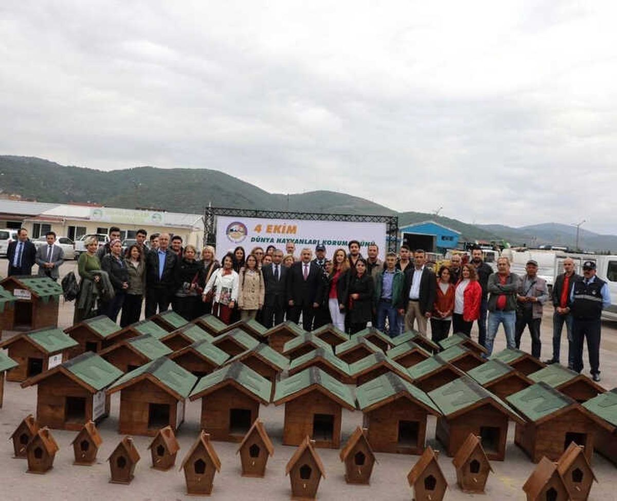 Körfez\'de Sokak Hayvanları Unutulmadı