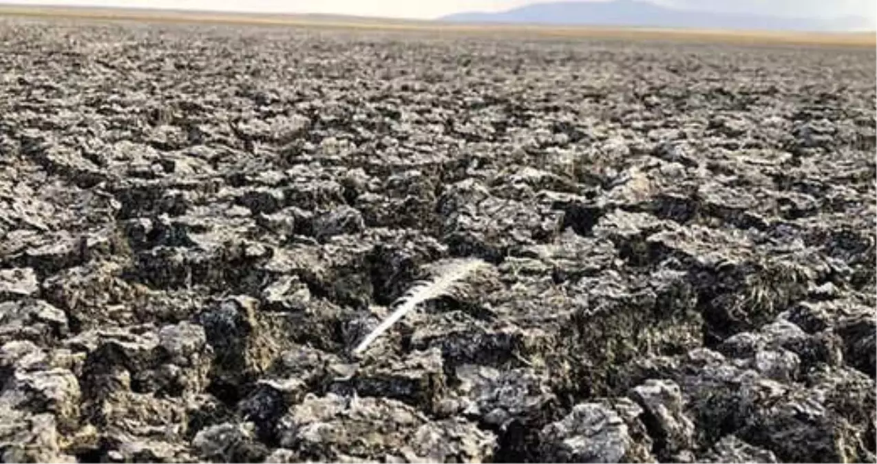 Kuyucuk Gölü Kuş Cenneti Tamamen Kurudu