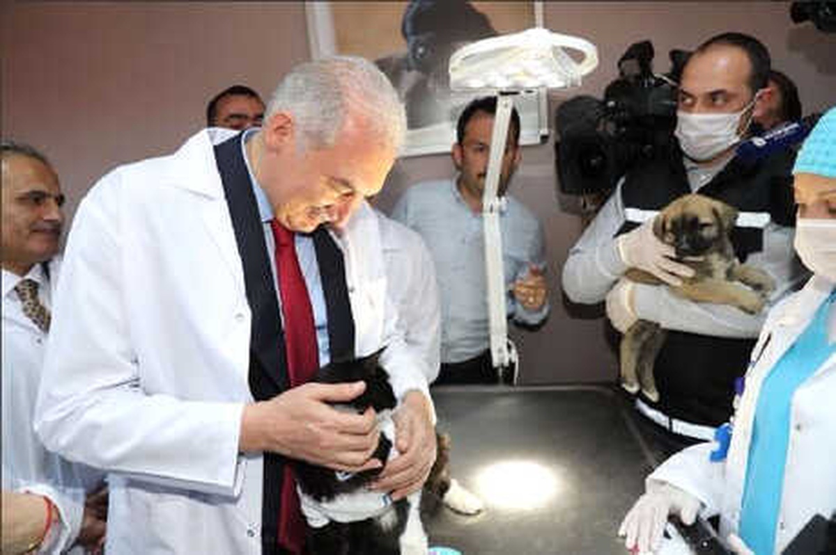Mevlüt Uysal: Can Dostlarımızın Yanındayız