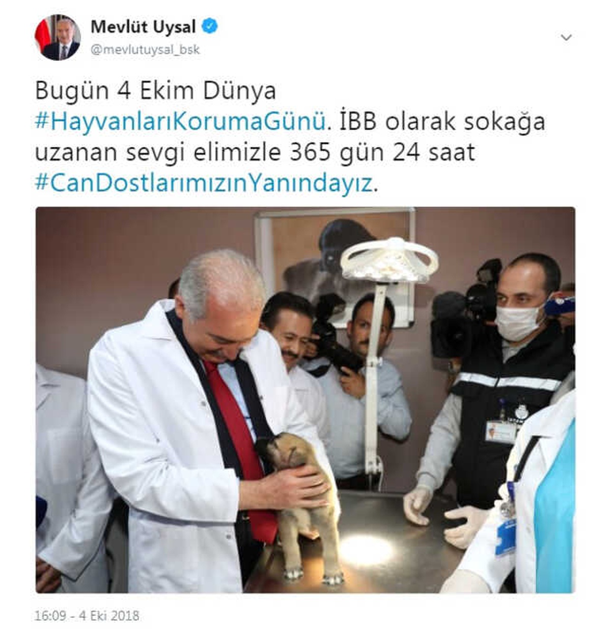 Mevlüt Uysal, Hayvanlar Günü Paylaşımıyla \'Tt\' Oldu