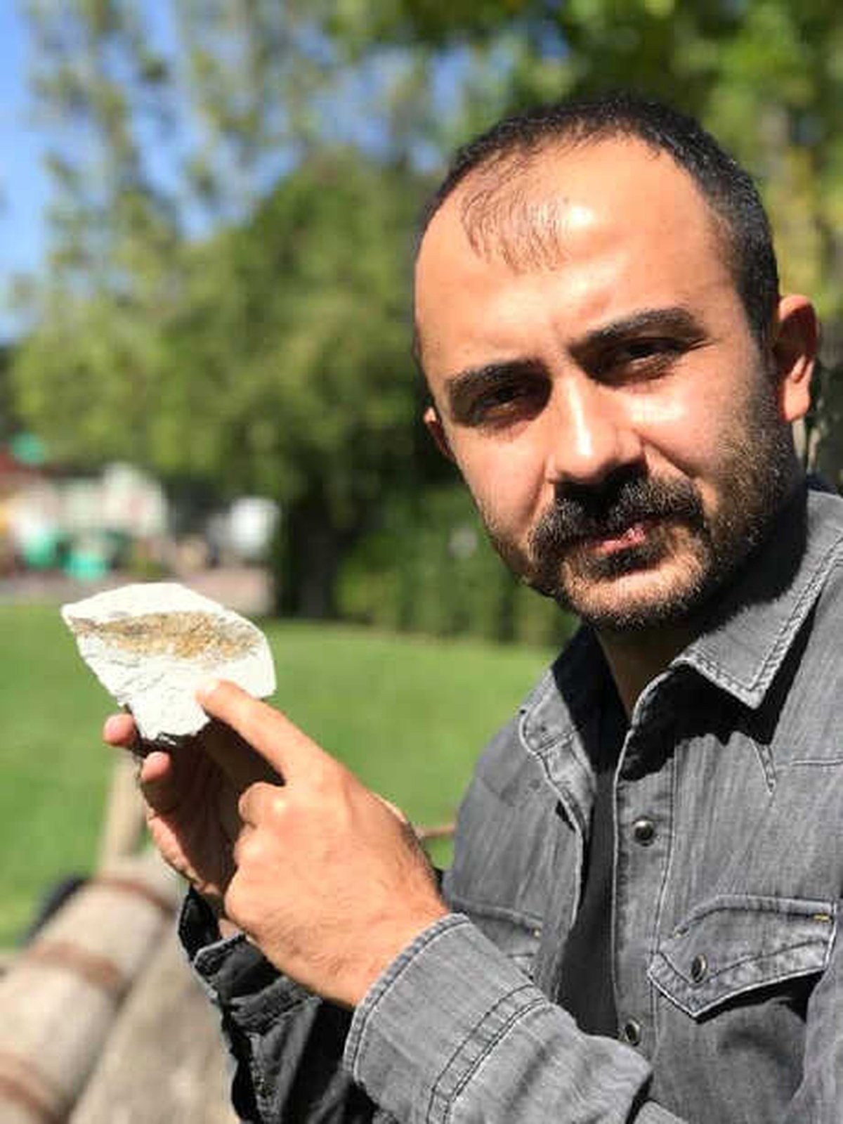 Milas\'ta 14 Milyon Yıllık Balık Fosili Bulundu