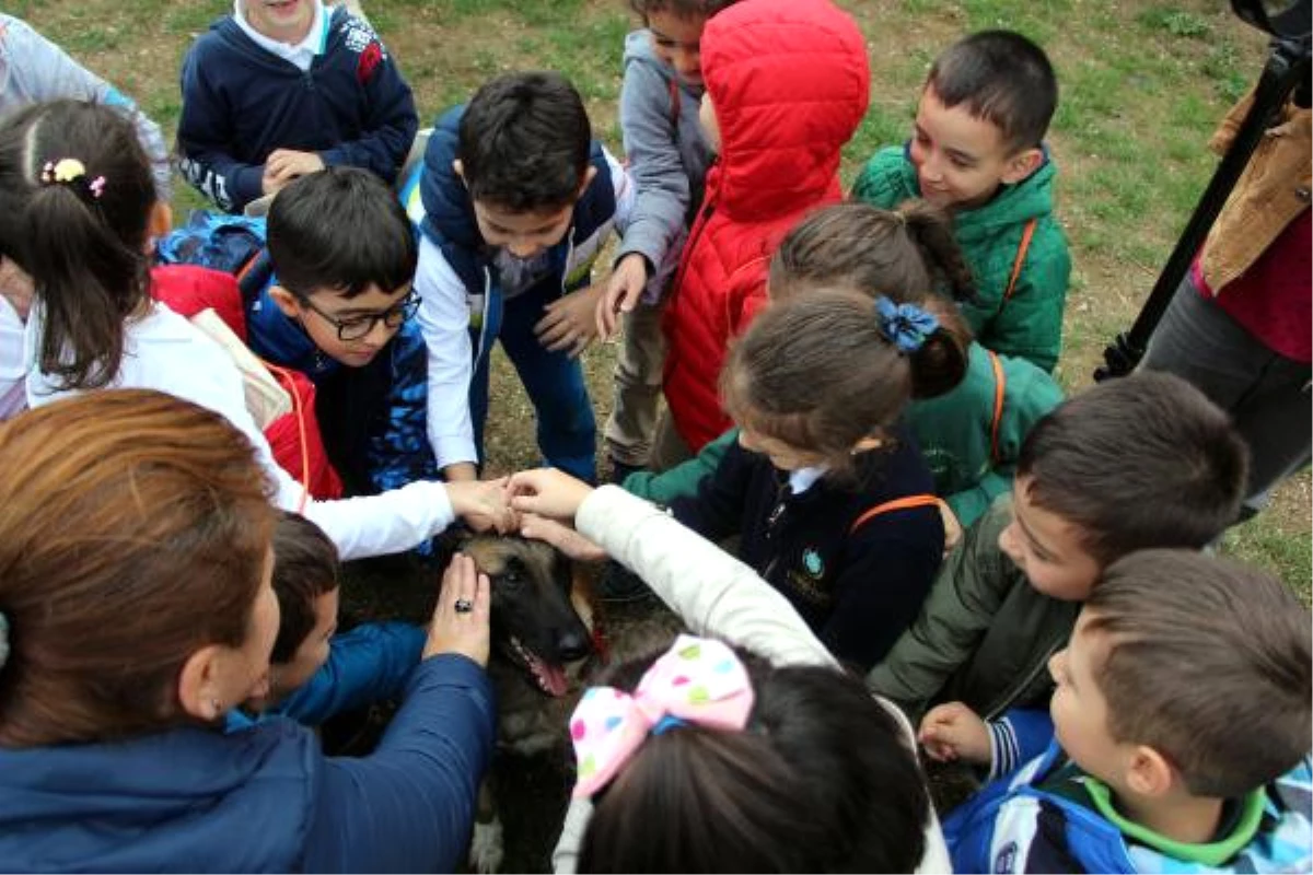 Minik Öğrenciler, Hayvan Hastanesi Açılışında Köpekleri Sevdi