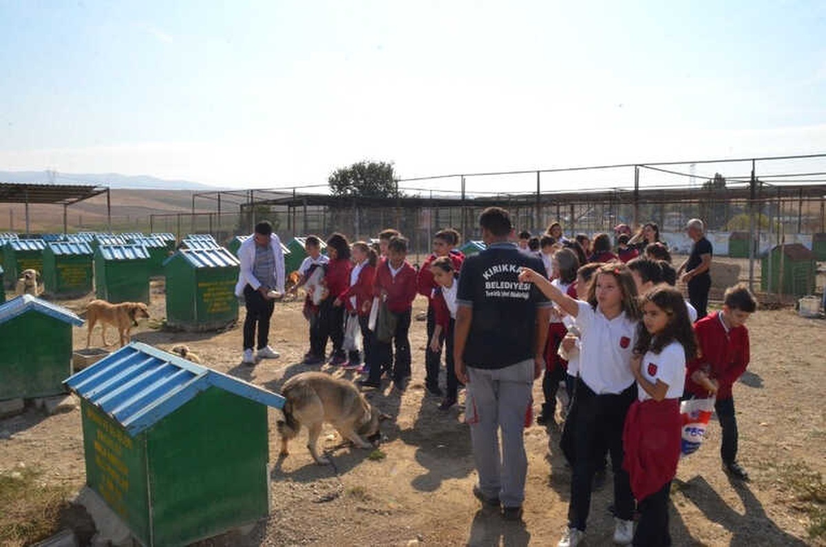 Öğrenciler Hayvan Barınaklarına Akın Etti