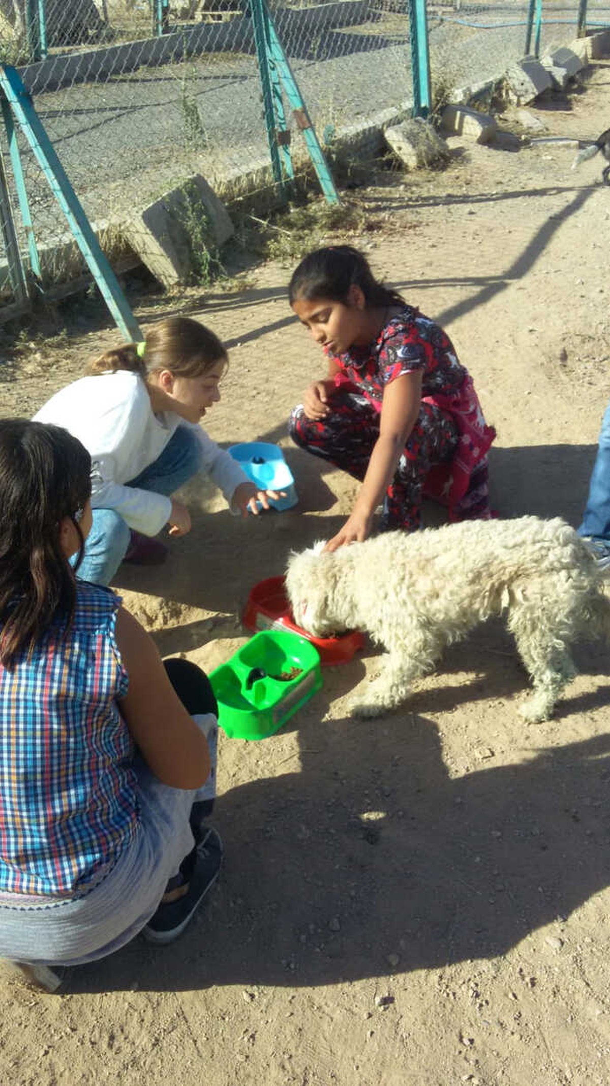 Öğrenciler Nevşehir Belediyesi Köpek Barınağı\'nda