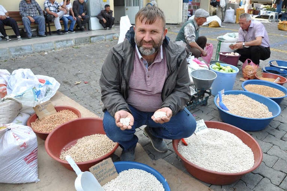 Simav Göl Fasulyesi Zamma Direniyor
