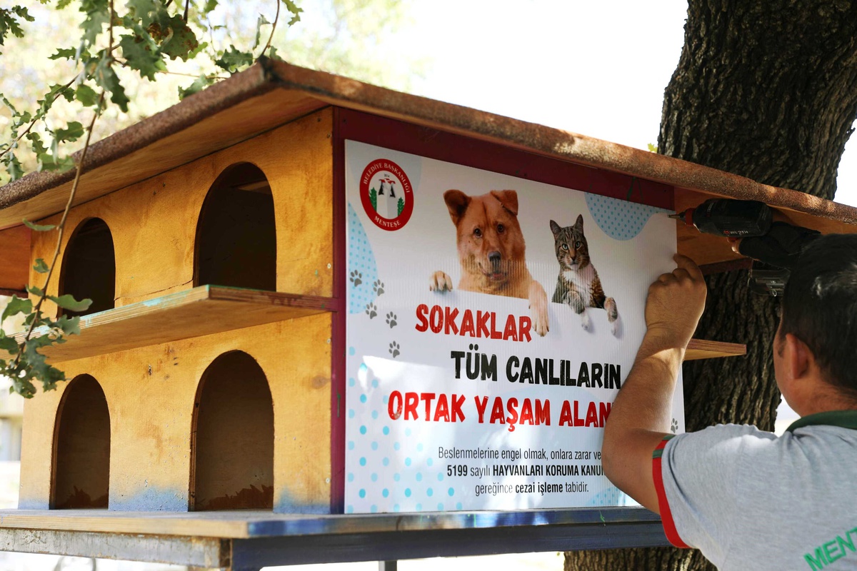Sokaklar Tüm Canlıların Ortak Yaşam Alanıdır
