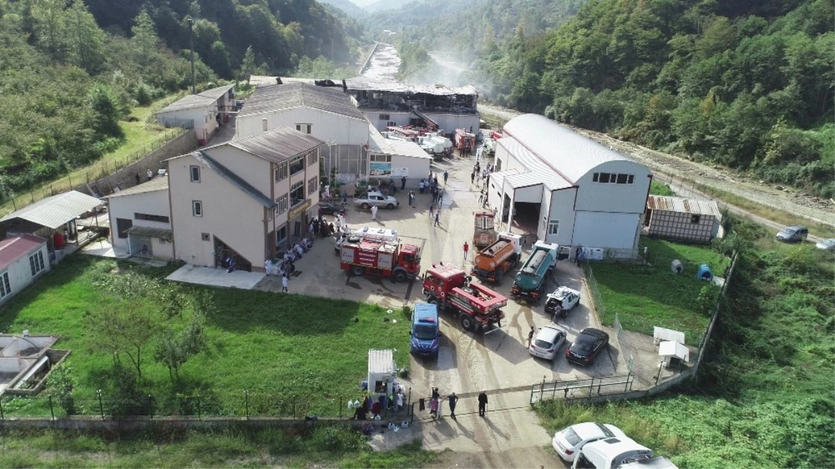 Trabzon\'da Süt Ürünleri İmalatı Yapılan Fabrikada Çıkan Yangın Söndürüldü