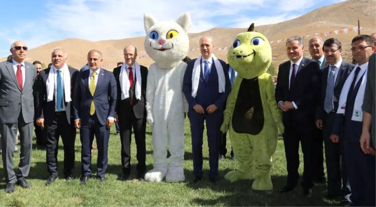 Ulusal Yağlı Güreş Festivali Başladı