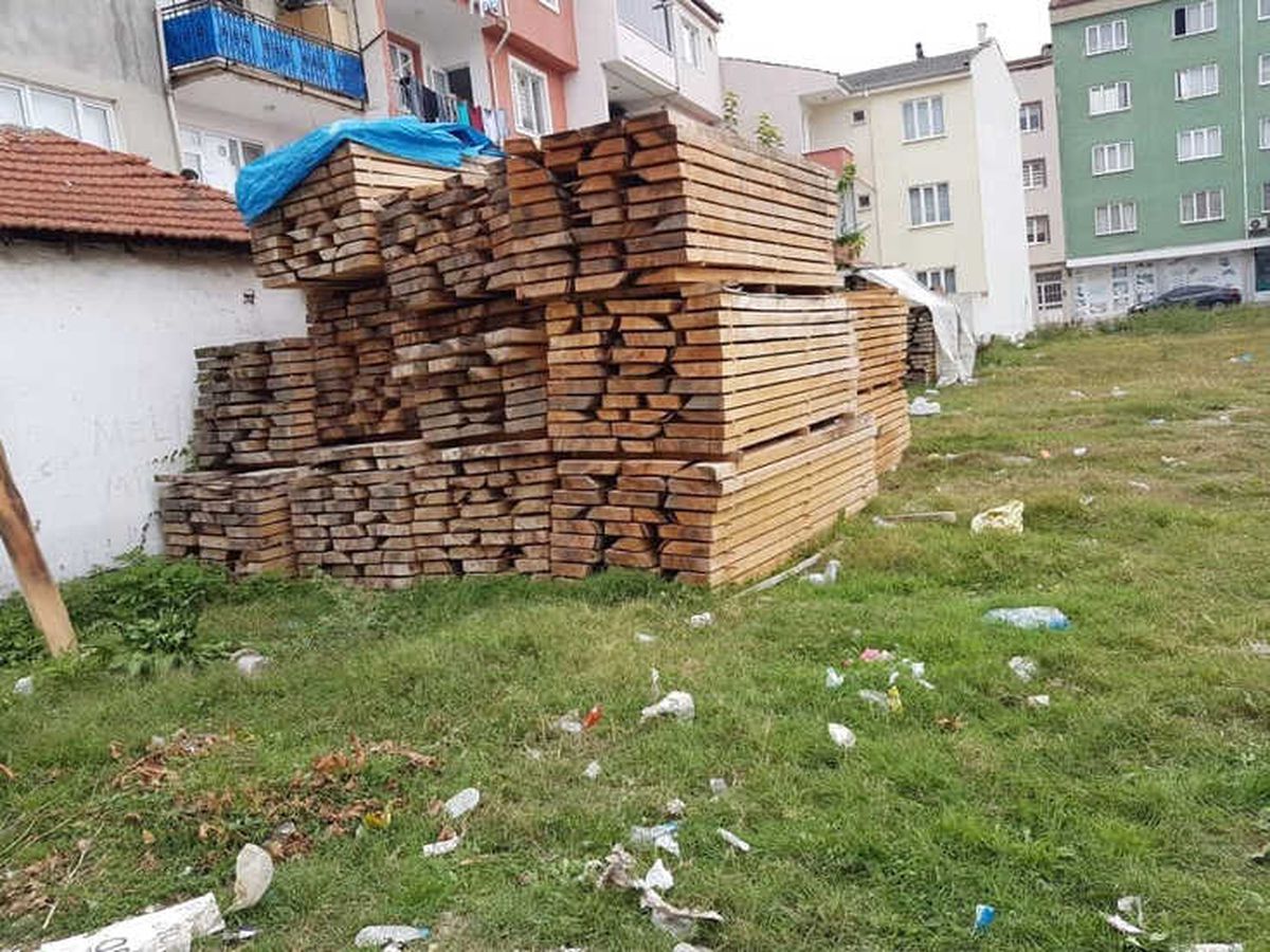 Yavru Köpek İçin Seferberlik