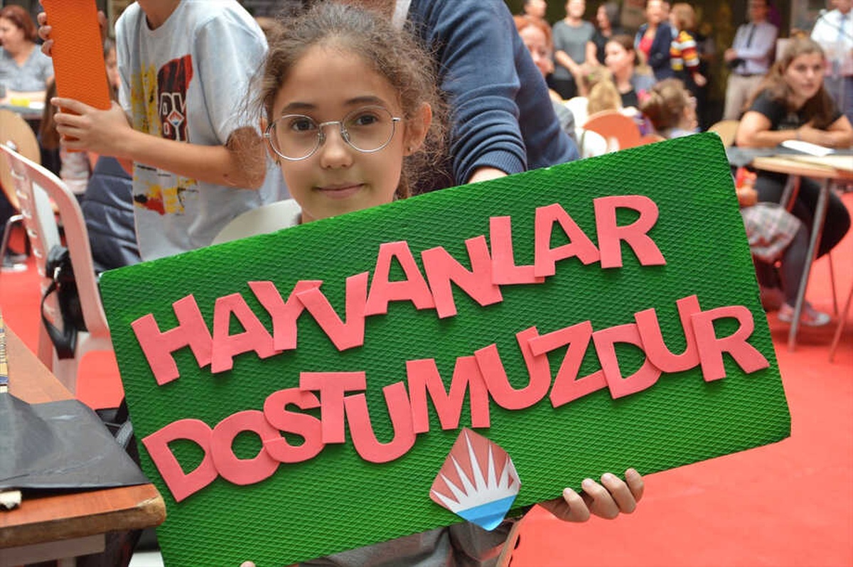 Çocuklar Sokak Hayvanları İçin Yuva Yaptı