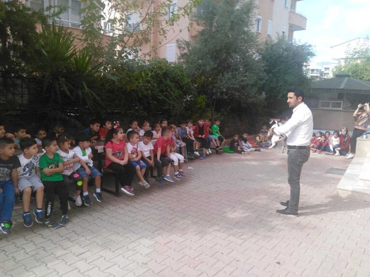 Öğrencilere Hayvan Sevgisi Anlatıldı