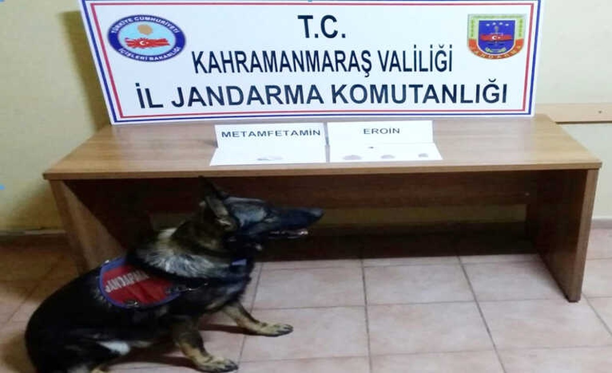 Otomobildeki Uyuşturucuyu "Atos" Buldu
