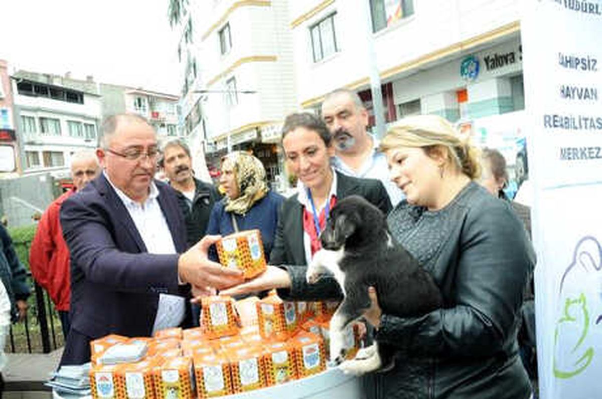 Yalova\'da Evcil Hayvan Sahiplerine Mama Dağıtıldı