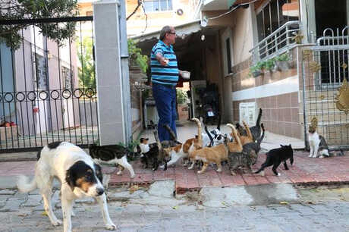 Av Tutkunuydu, Ömrünü Beslediği Kedilere Adadı