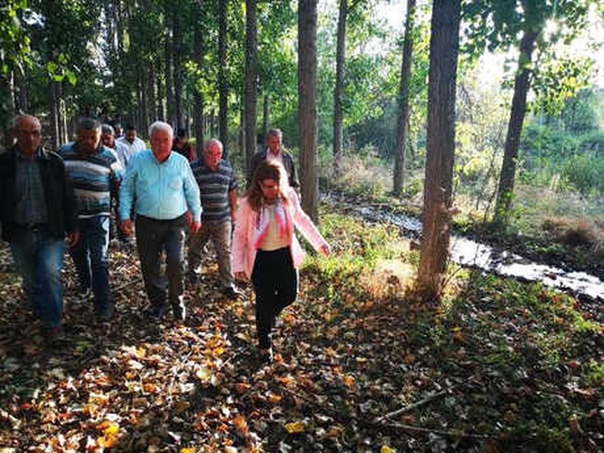CHP\'li Karaca, Menderes Nehri\'ndeki Kirliliği Yerinde İnceledi