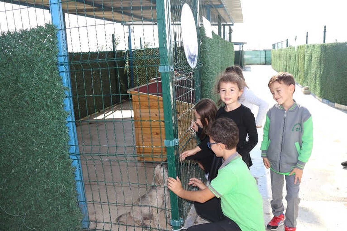 Öğrenciler Ergene Belediyesi Barınağını Ziyaret Etti