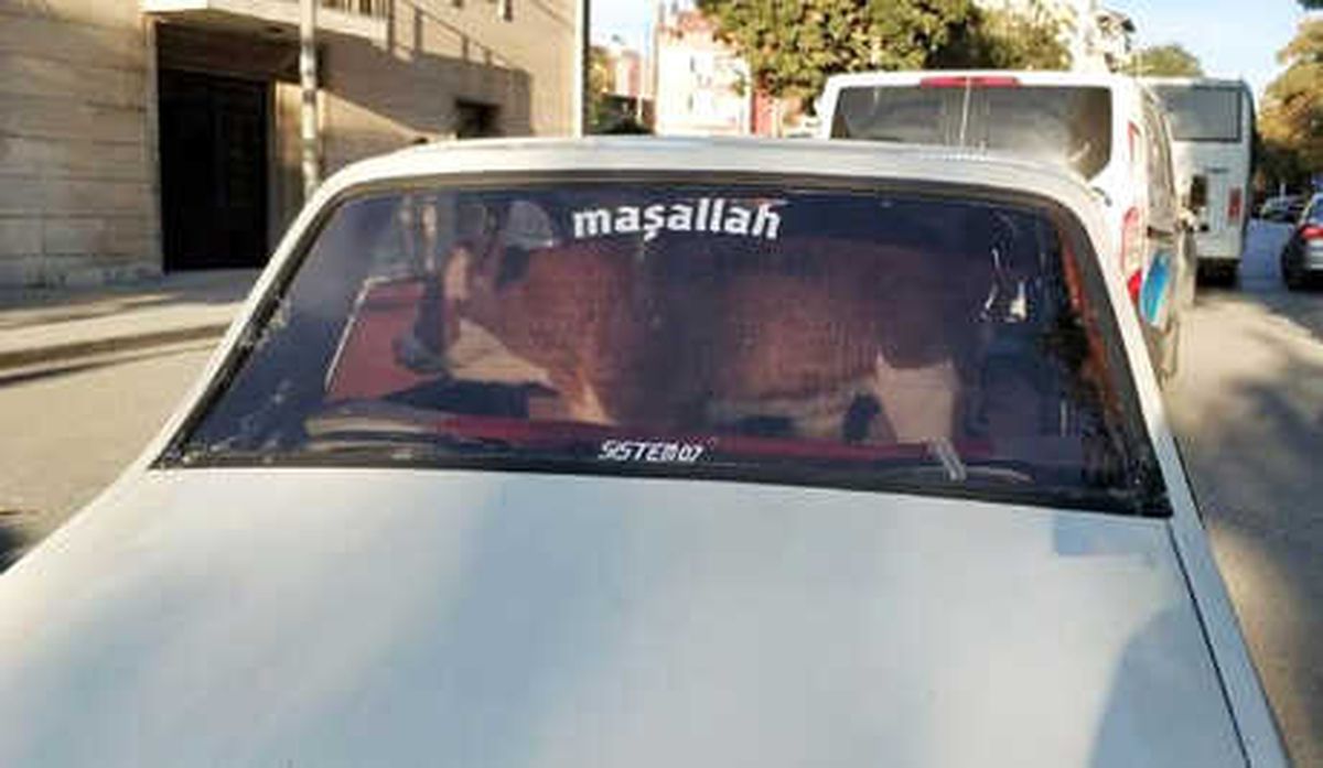 Rahatsızlanan Buzağısını Otomobille Tedaviye Götürdü