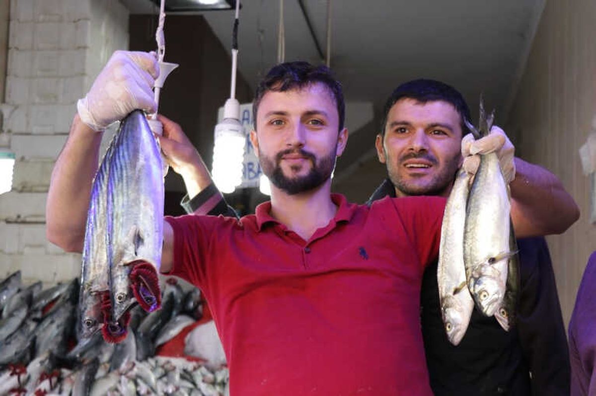 Samsun\'da Palamudun Ardından "Lüfer" Patladı