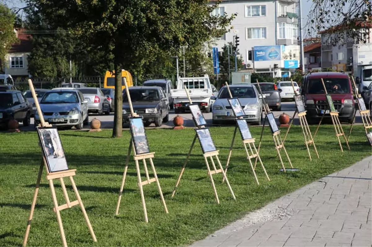 4 Ekim Hayvanları Koruma Günü Etkinlikleri Sona Erdi