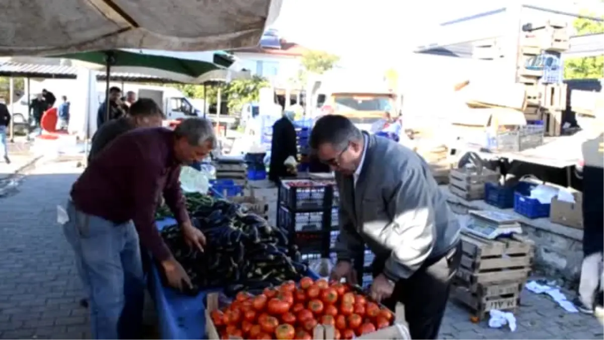 Domatesi Tuta Hastalığı Vurdu