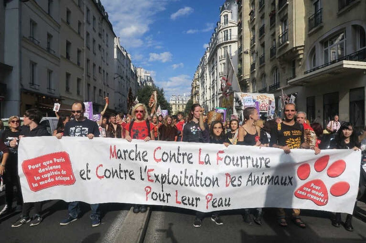 Paris\'te Kürk Karşıtı Protesto