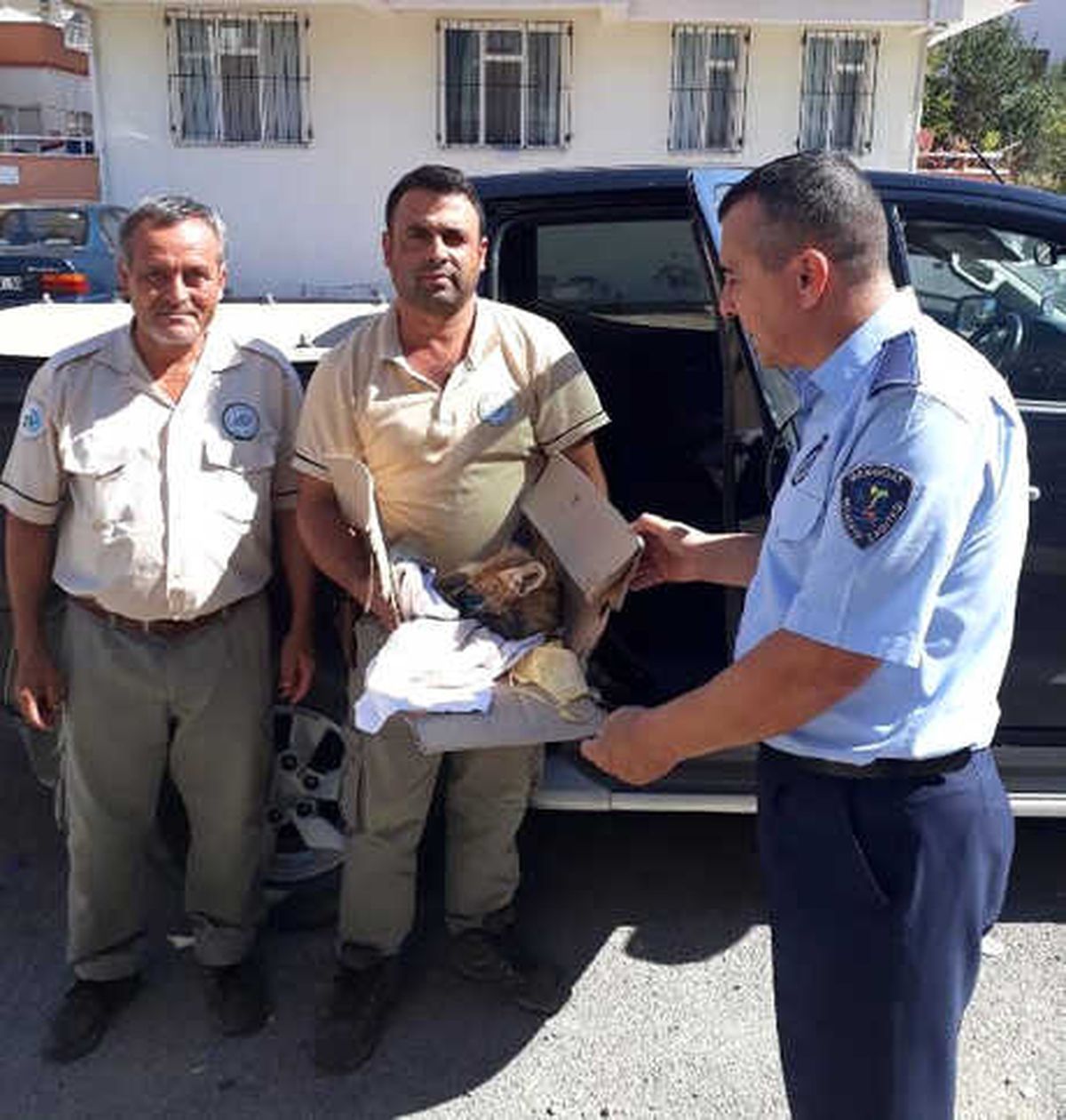 Yaralı Tilki Tedaviye Alındı