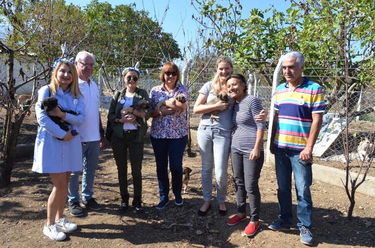 200 Hayvanın Soğukta Yuvasız Kalmaması İçin Anlamlı Çağrı