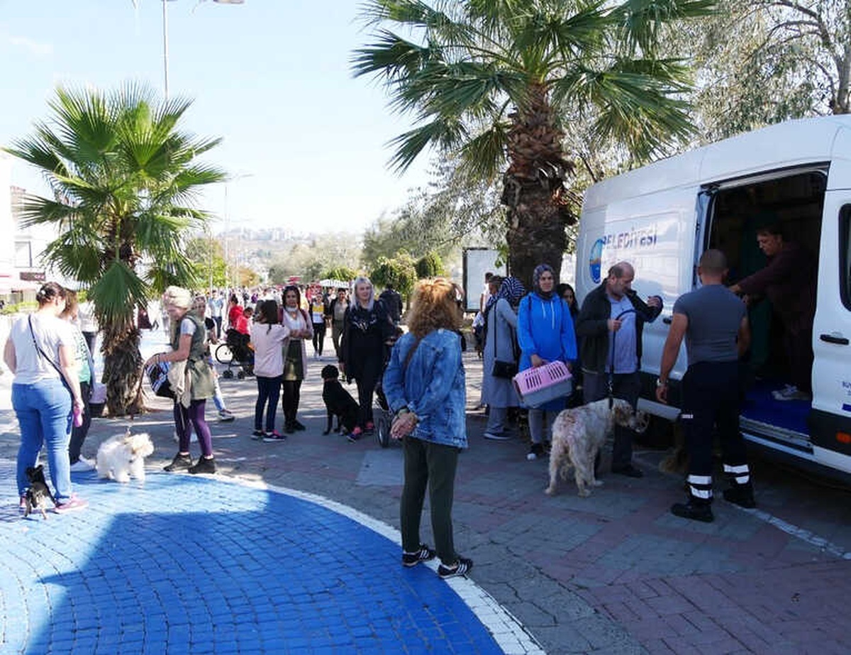 Büyükçekmece Belediyesinden Can Dostlarına Ücretsiz Aşı ve Bakım