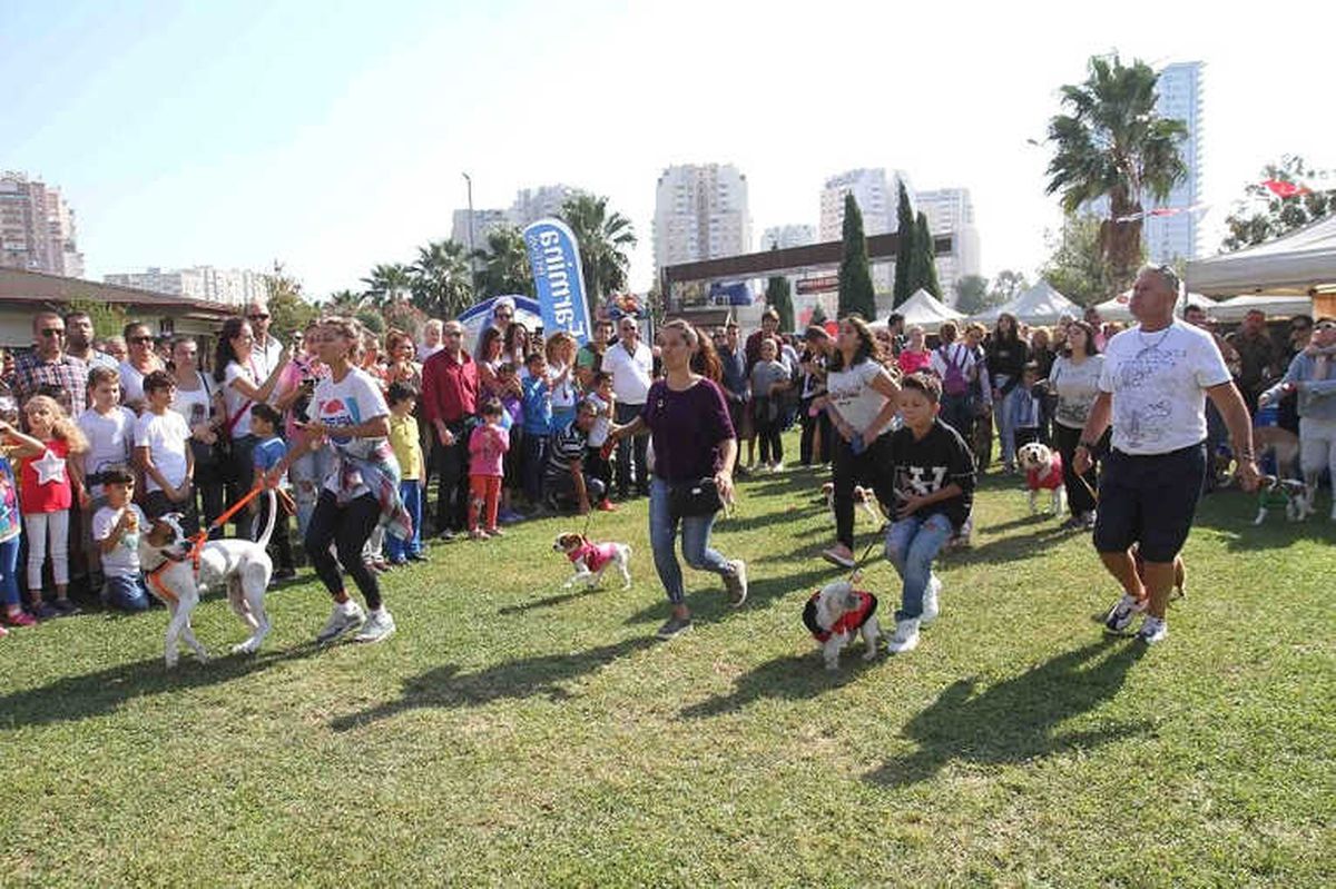 Hayvanseverler Pati Festivali\'nde Buluştu