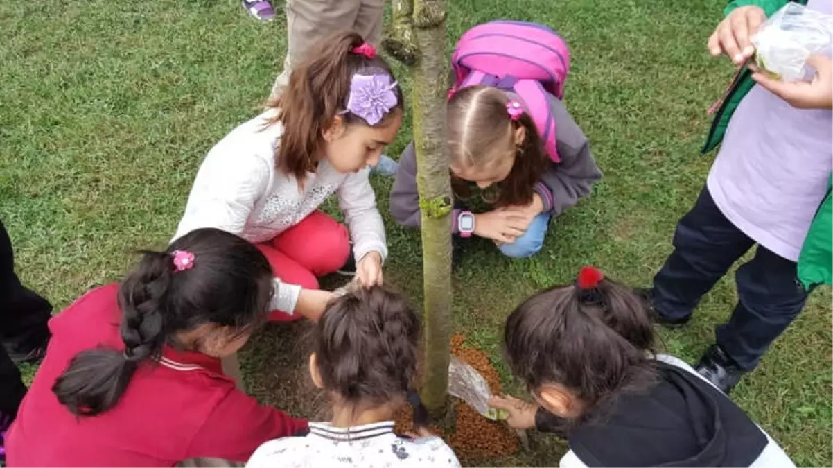 Kartepeli Miniklerin Hayvan Sevgisi