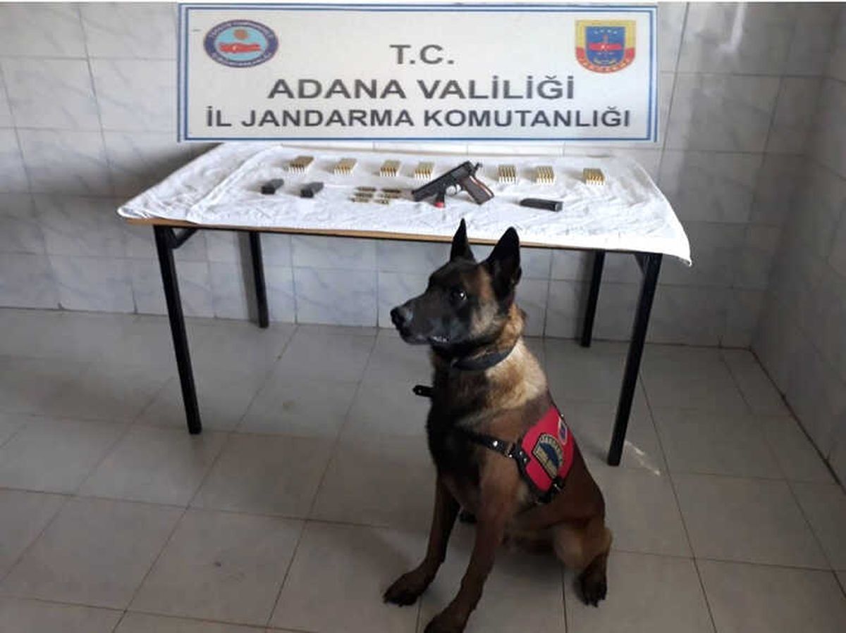 Konfor" Ruhsatsız Tabanca Buldu