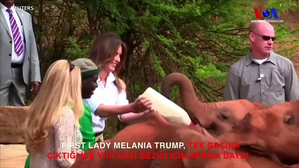 Melania Trump Elleriyle Yavru Filleri Besledi