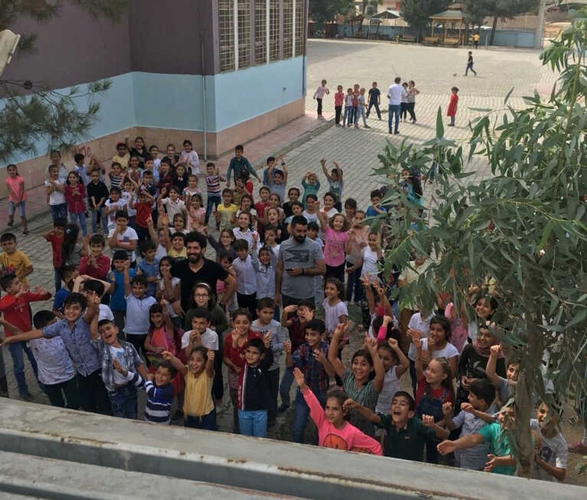 Ağaçta Mahsur Kalan Kedi Yavrusu İtfaiye Kurtardı