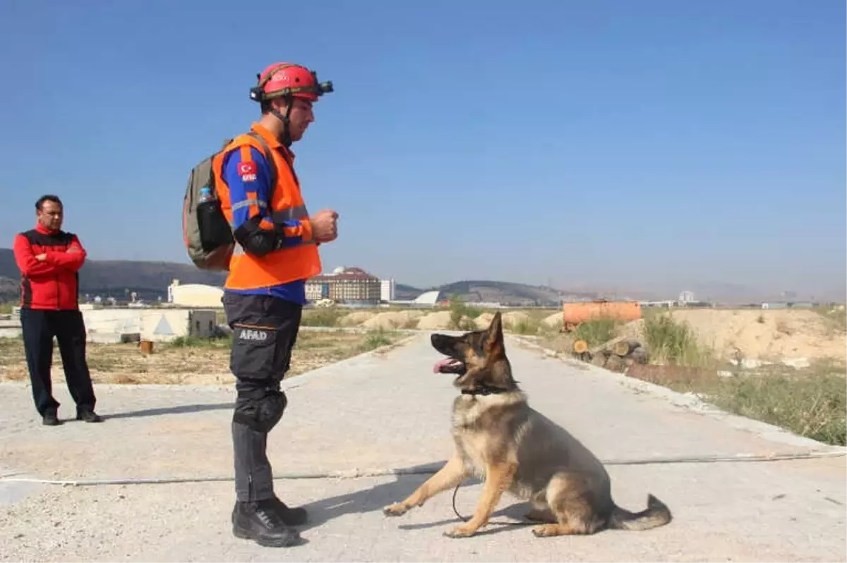 Arama Köpeklerine Zorlu Sınav