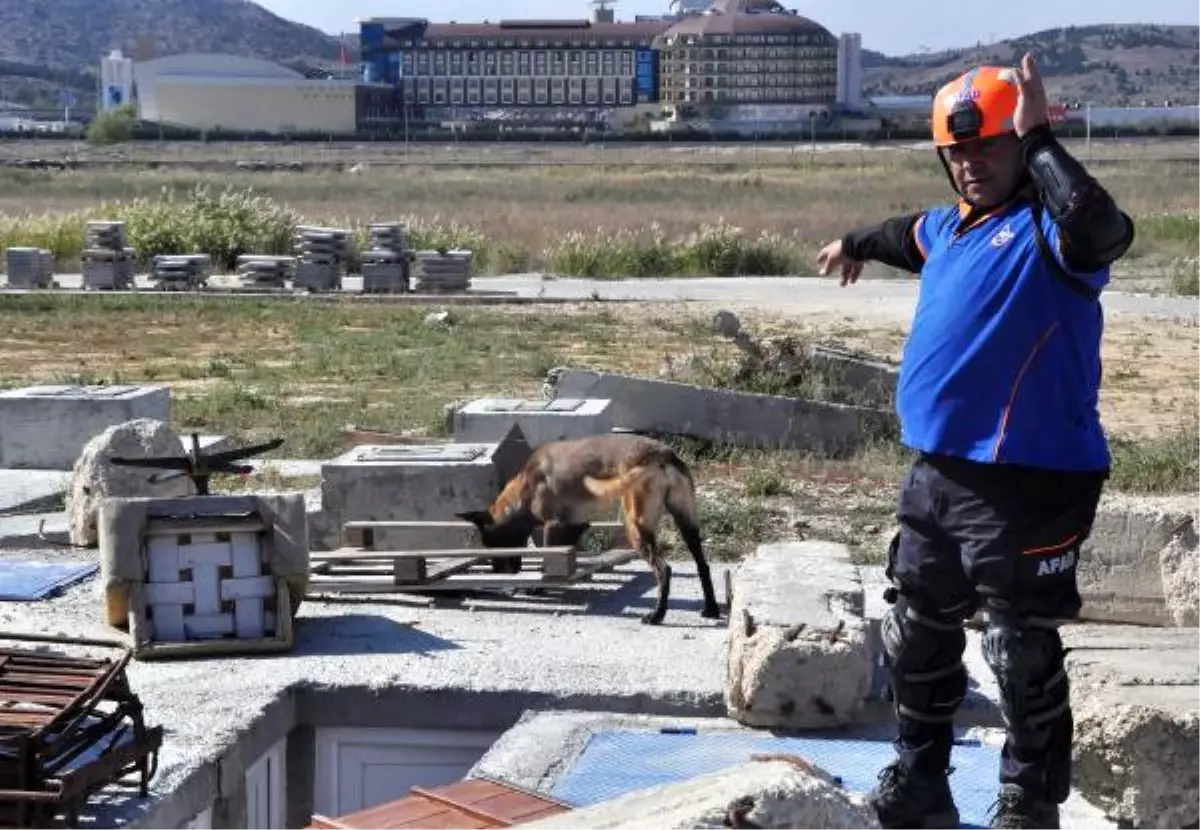 Arama Kurtarma Köpeklerine Zorlu Sınav