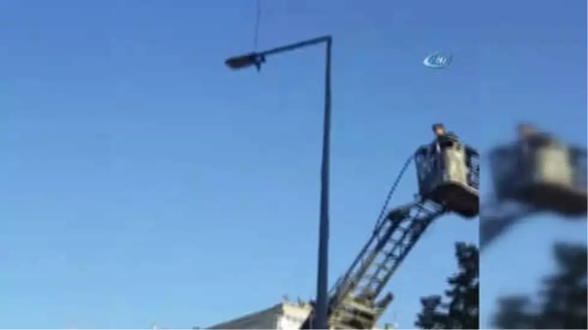 Elektrik Direğinde Ayağına İp Dolanan Kuşu İtfaiye Kurtardı