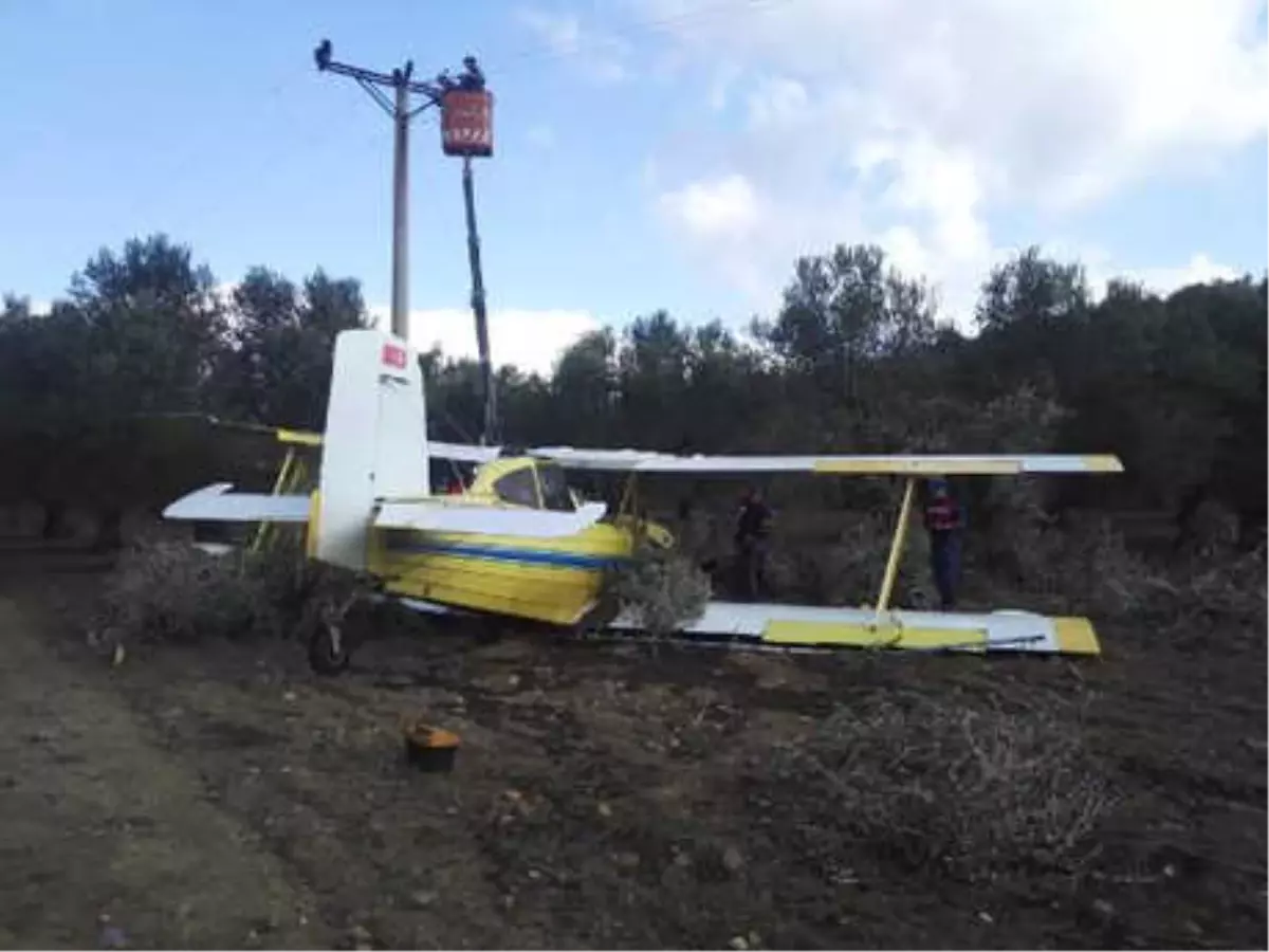 İlaçlama Uçağı Tarlaya Zorunlu İniş Yaptı; Pilot Kurtuldu (2)- Yeniden