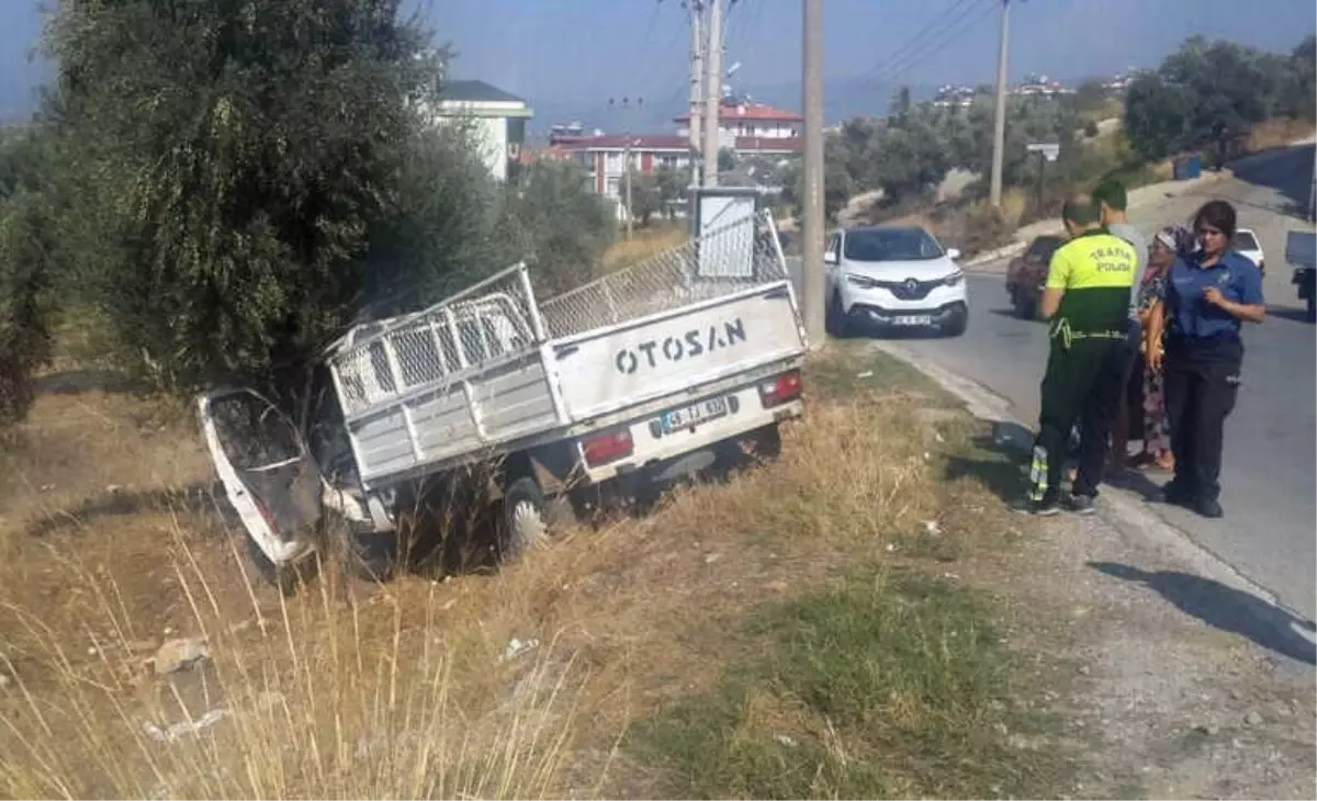 Milas\'ta Kontrolden Çıkan Araç Zeytinlik Araziye Uçtu