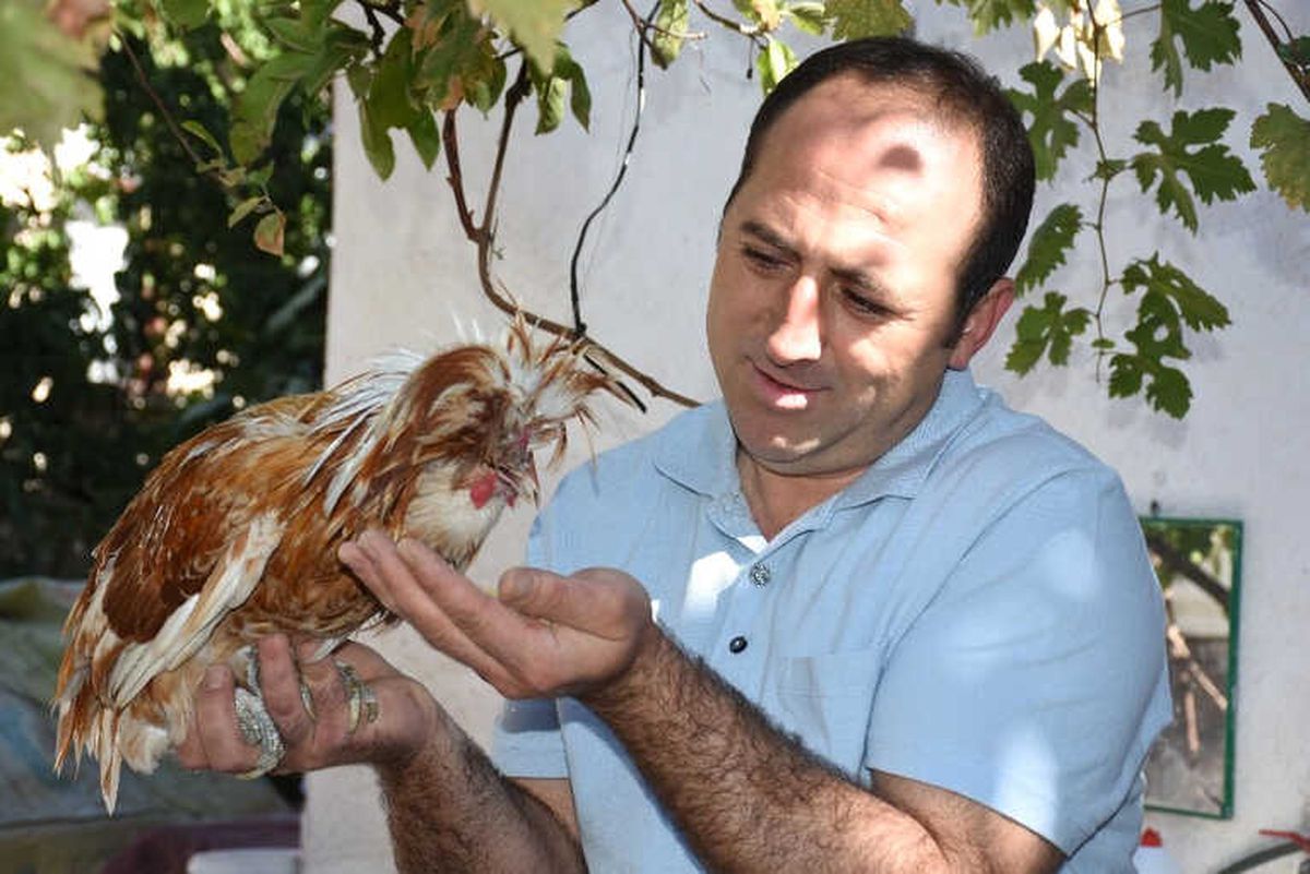 27 Yıldır Kendini Süs Tavuklarına Adadı